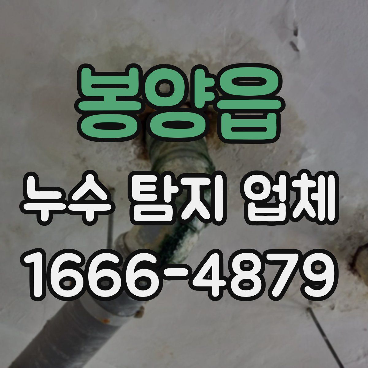 봉양읍 누수 탐지 업체