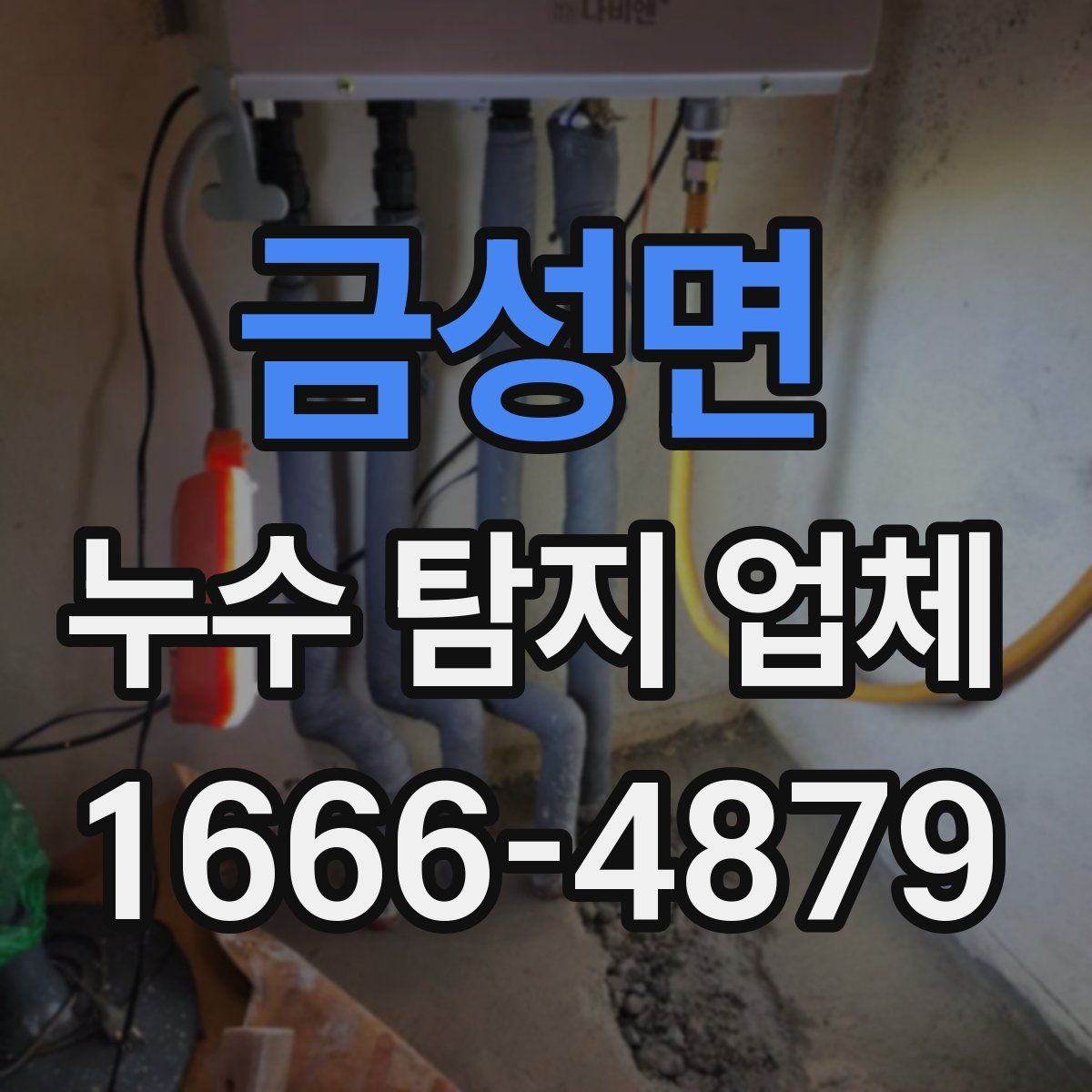 금성면 누수 탐지 업체