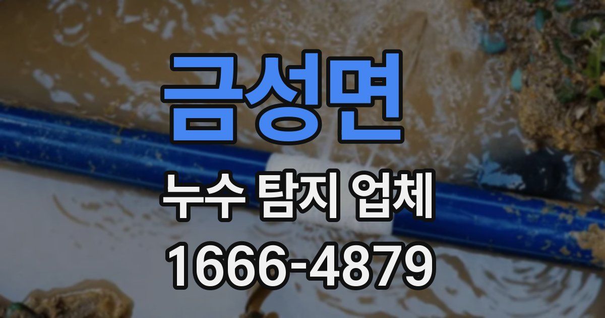 금성면 누수 탐지 업체
