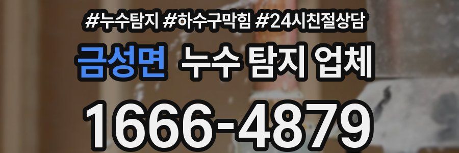 금성면 누수 탐지 업체