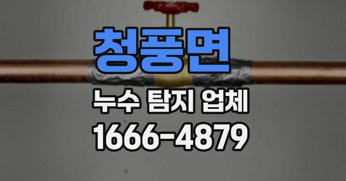 청풍면 누수 탐지 업체