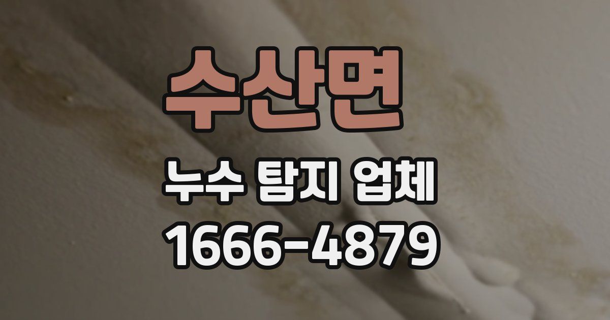 수산면 누수 탐지 업체