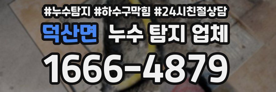 덕산면 누수 탐지 업체