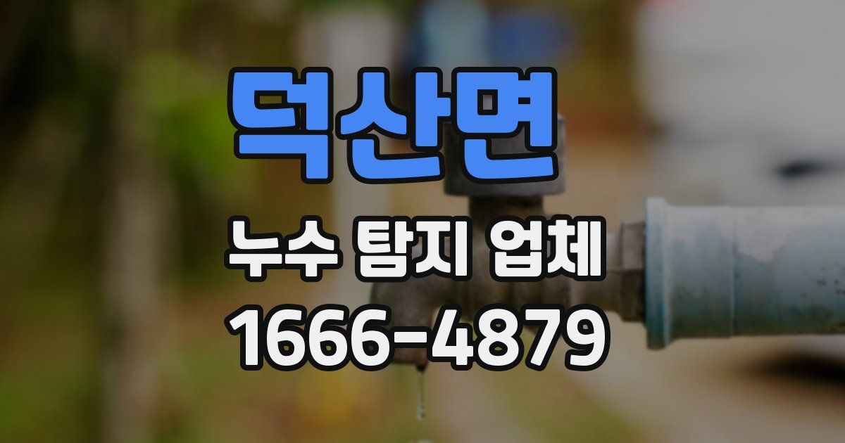 덕산면 누수 탐지 업체