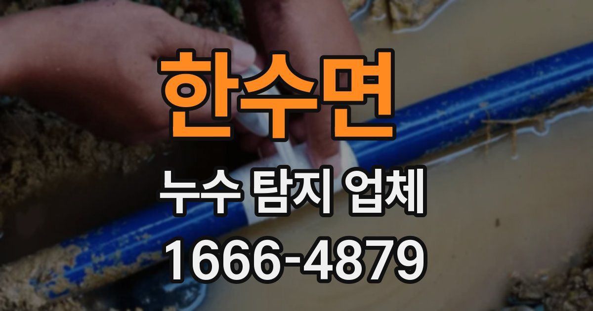 한수면 누수 탐지 업체