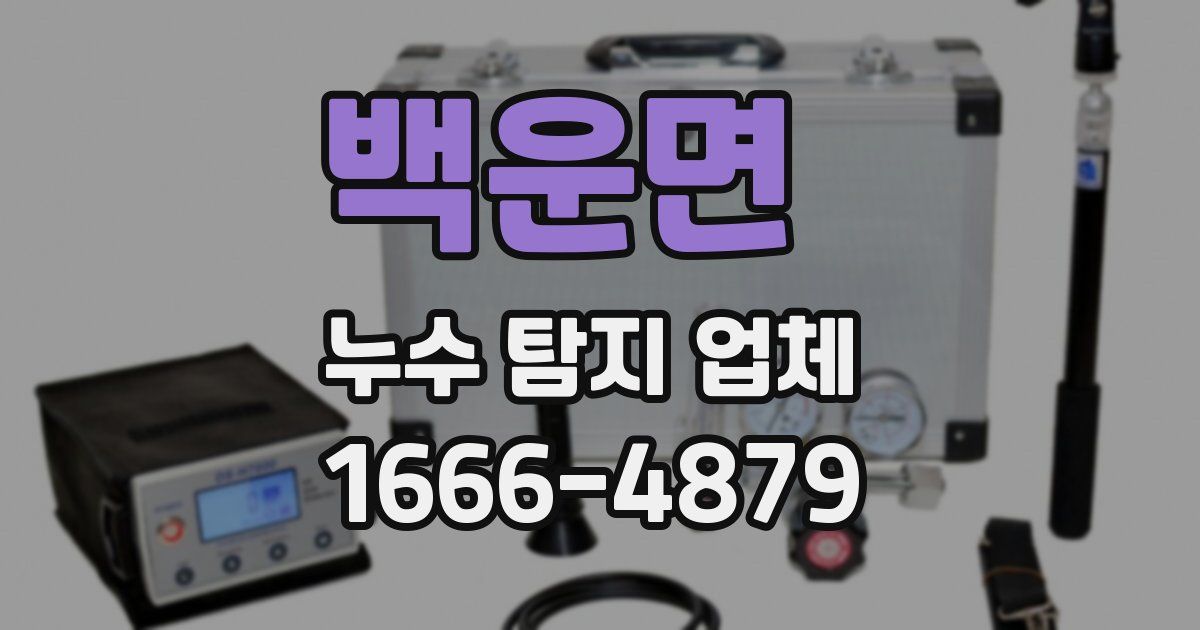 백운면 누수 탐지 업체