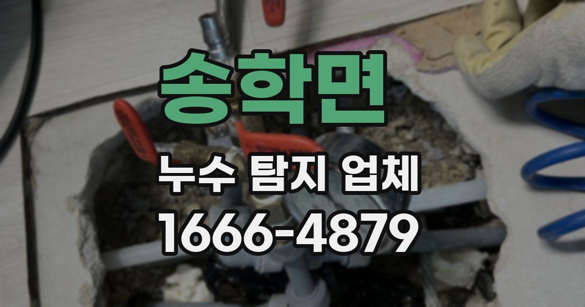 송학면 누수 탐지 업체
