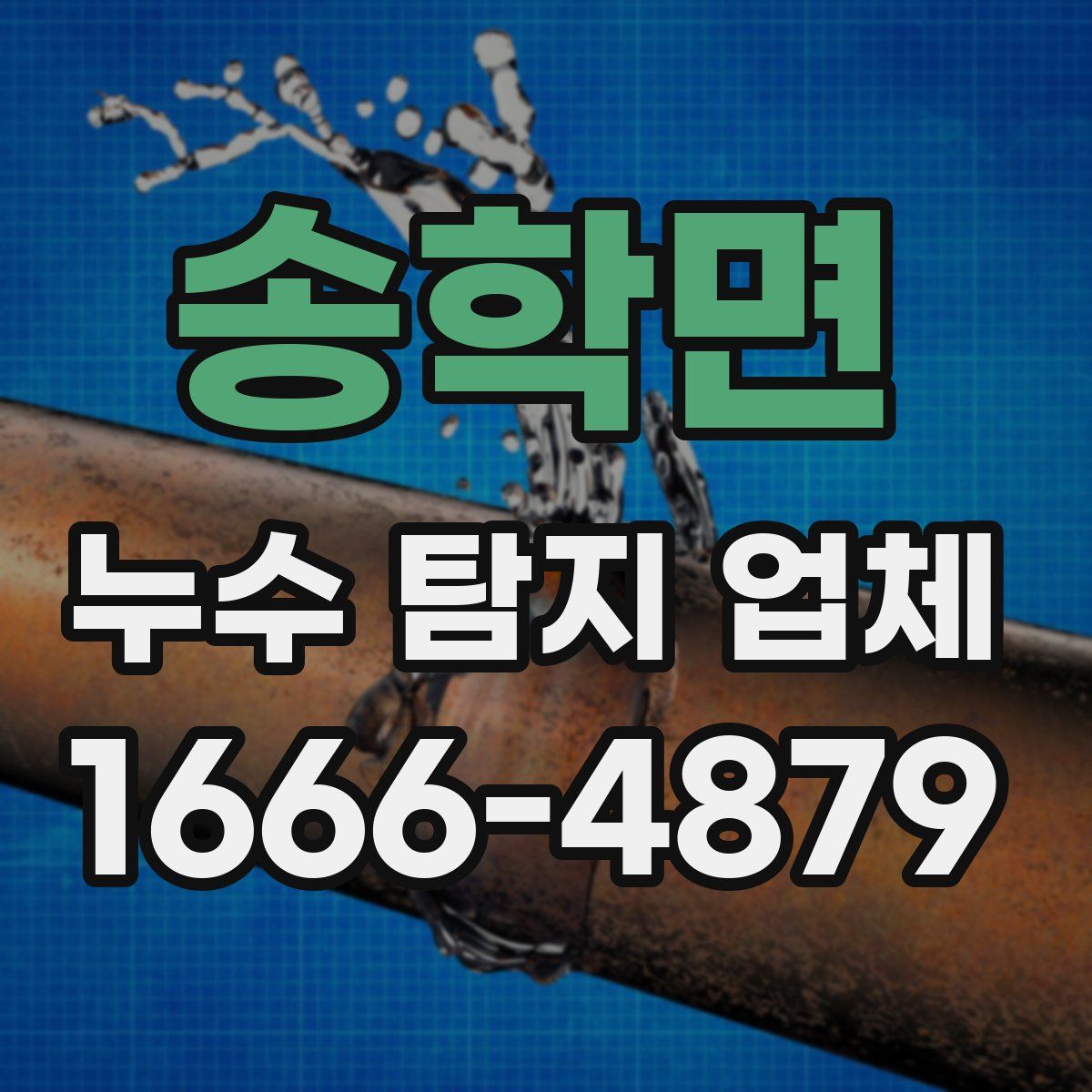 송학면 누수 탐지 업체