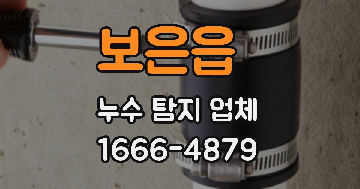 보은읍 누수 탐지 업체