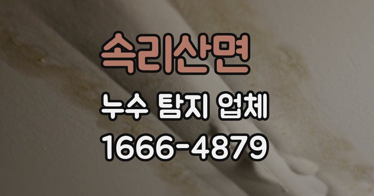 속리산면 누수 탐지 업체