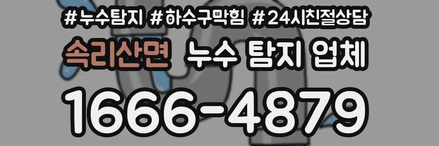 속리산면 누수 탐지 업체