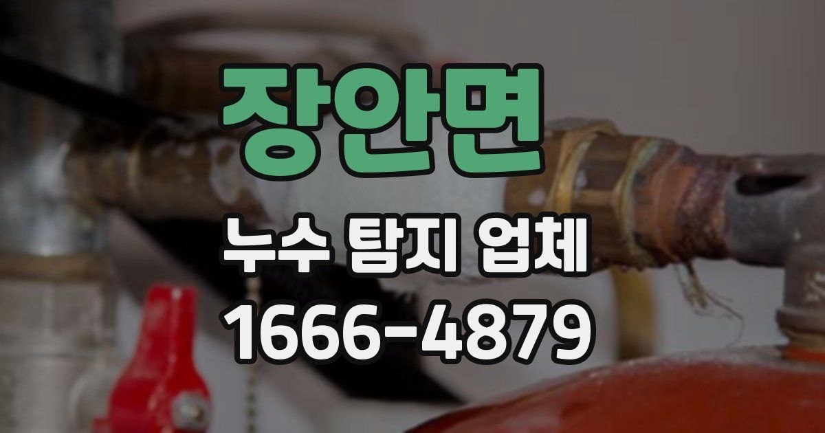 장안면 누수 탐지 업체