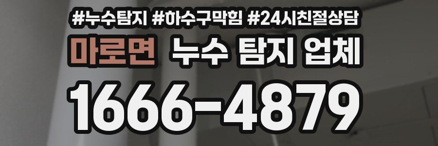 마로면 누수 탐지 업체