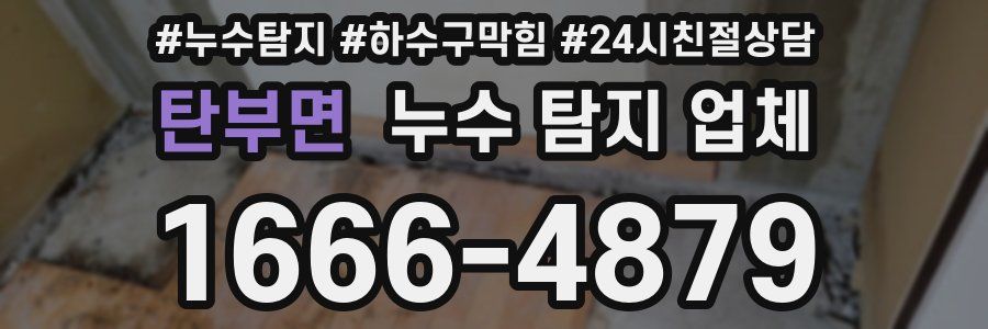 탄부면 누수 탐지 업체