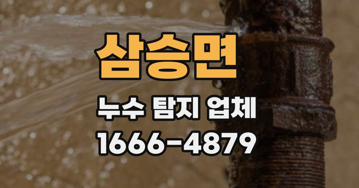 삼승면 누수 탐지 업체
