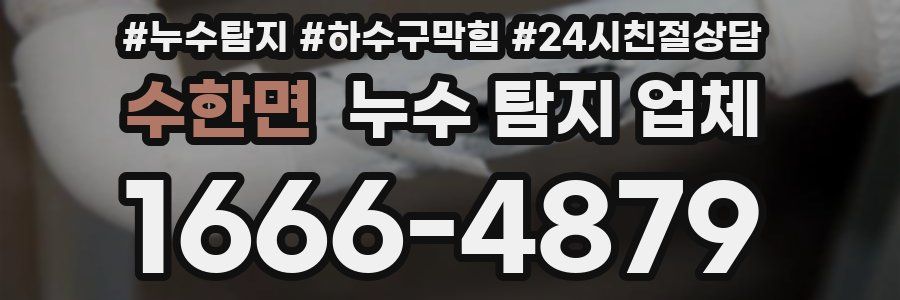 수한면 누수 탐지 업체
