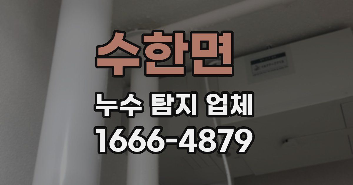 수한면 누수 탐지 업체