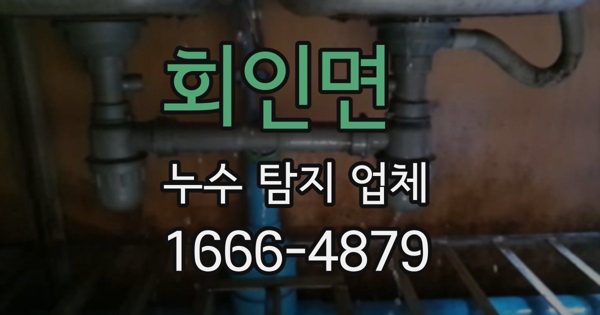 회인면 누수 탐지 업체