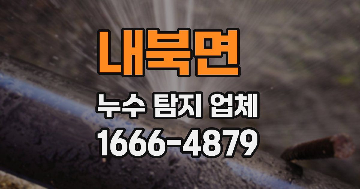 내북면 누수 탐지 업체