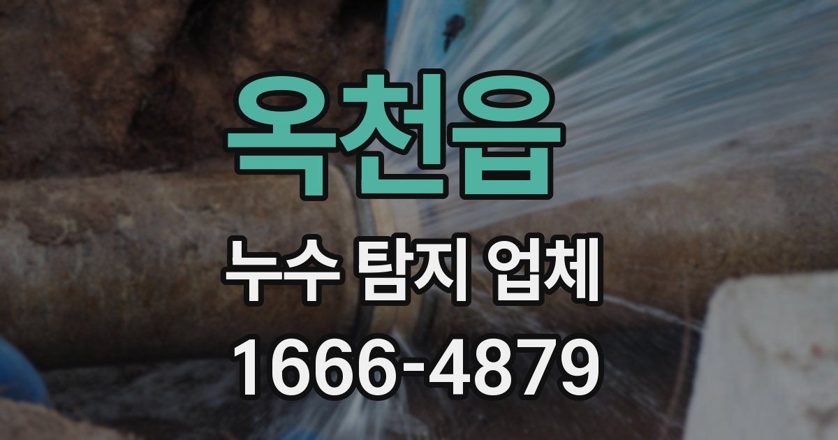 옥천읍 누수 탐지 업체