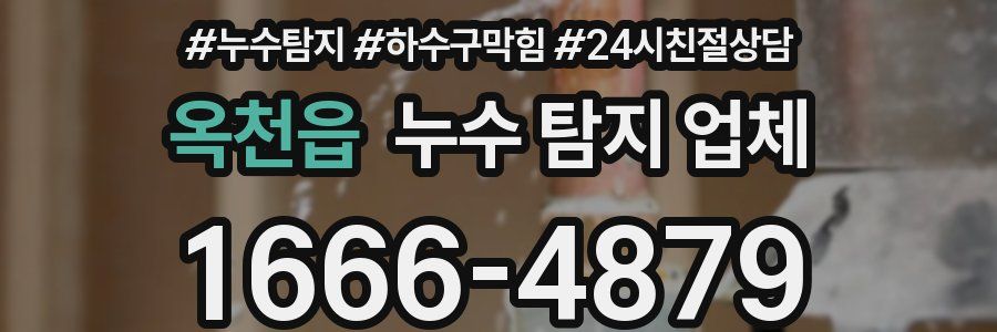 옥천읍 누수 탐지 업체