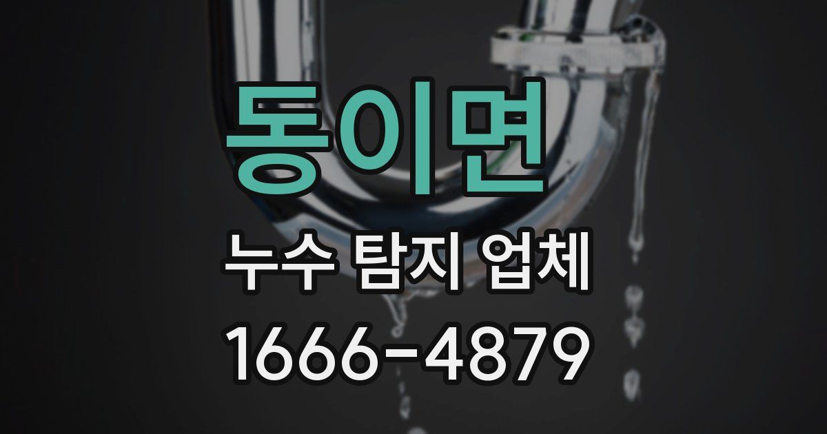 동이면 누수 탐지 업체