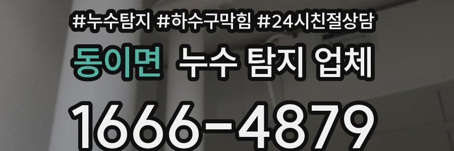 동이면 누수 탐지 업체