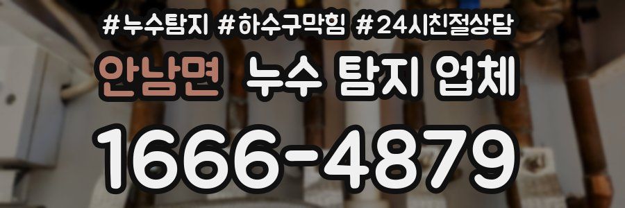 안남면 누수 탐지 업체
