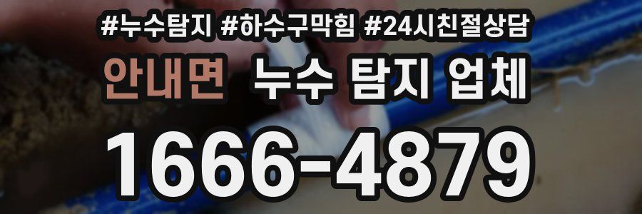 안내면 누수 탐지 업체
