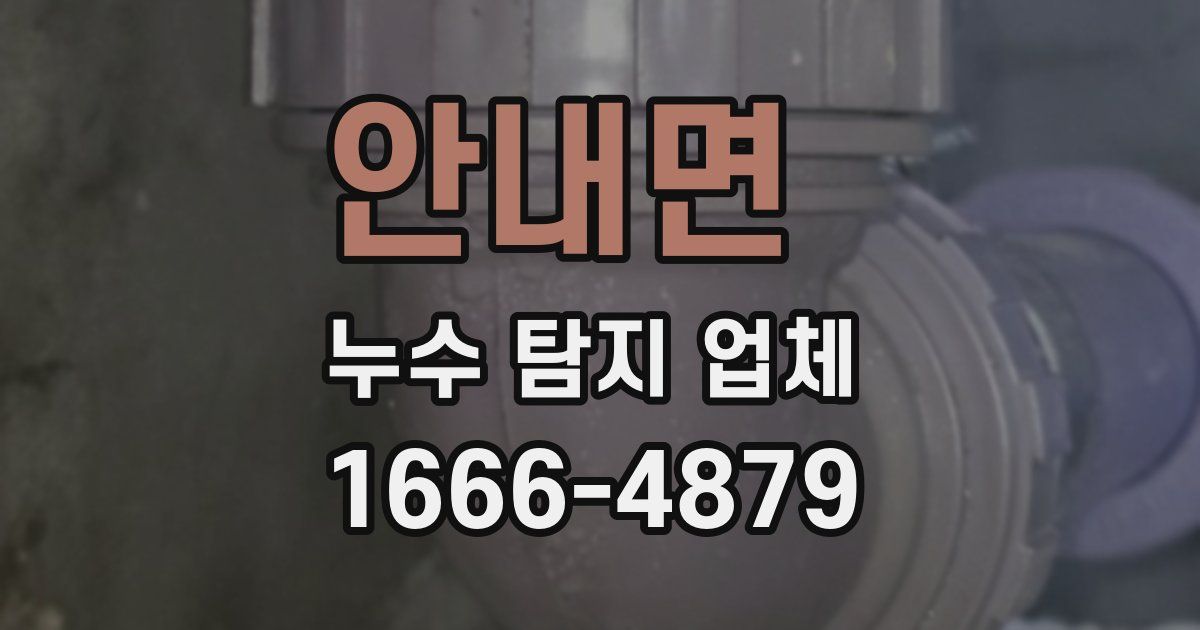 안내면 누수 탐지 업체