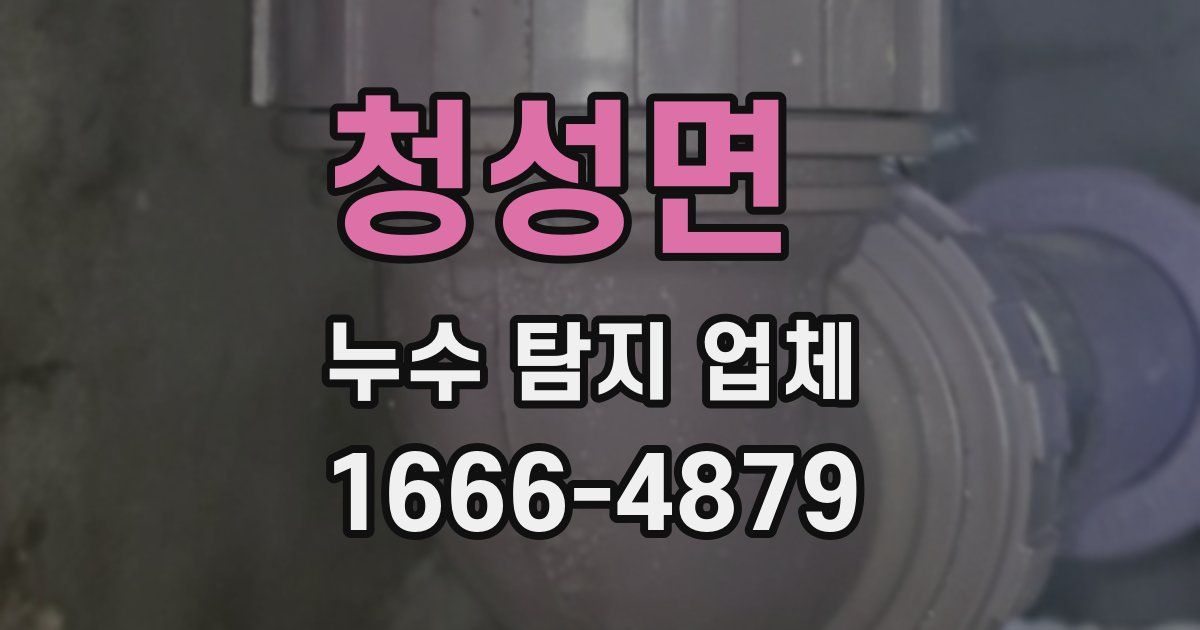 청성면 누수 탐지 업체