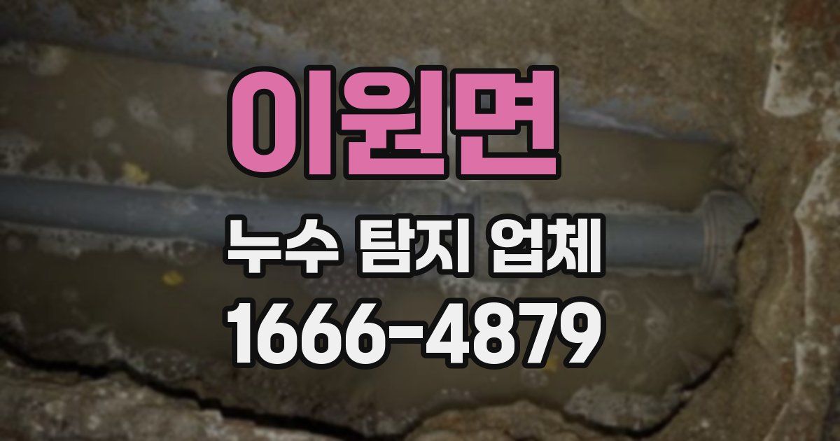 이원면 누수 탐지 업체