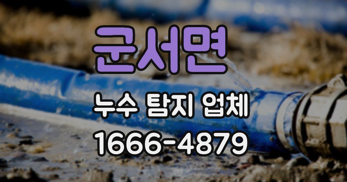군서면 누수 탐지 업체