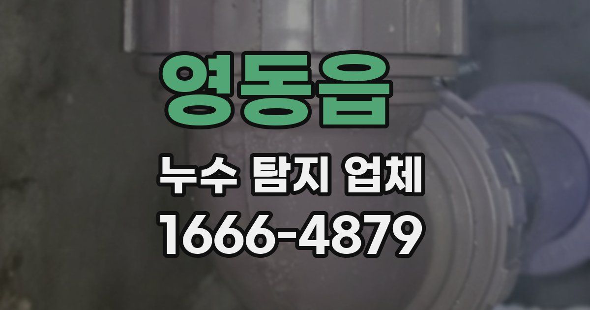 영동읍 누수 탐지 업체