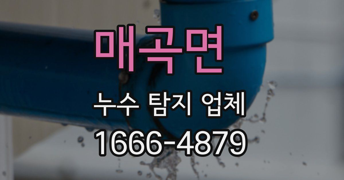 매곡면 누수 탐지 업체