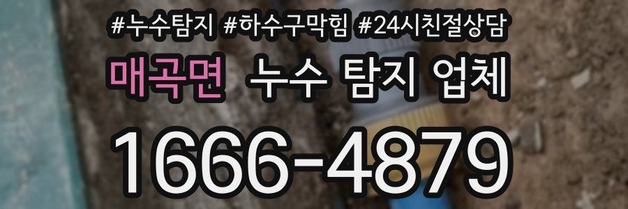 매곡면 누수 탐지 업체
