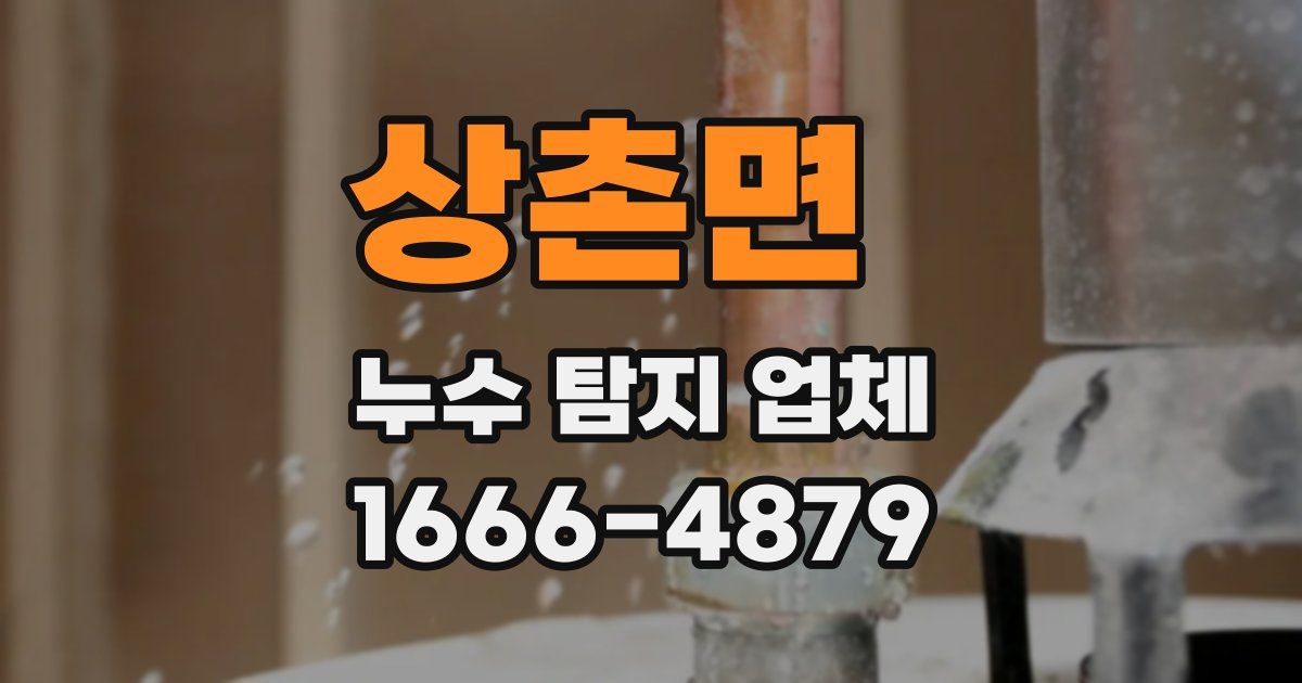 상촌면 누수 탐지 업체