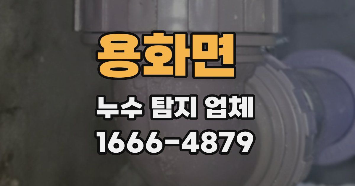 용화면 누수 탐지 업체