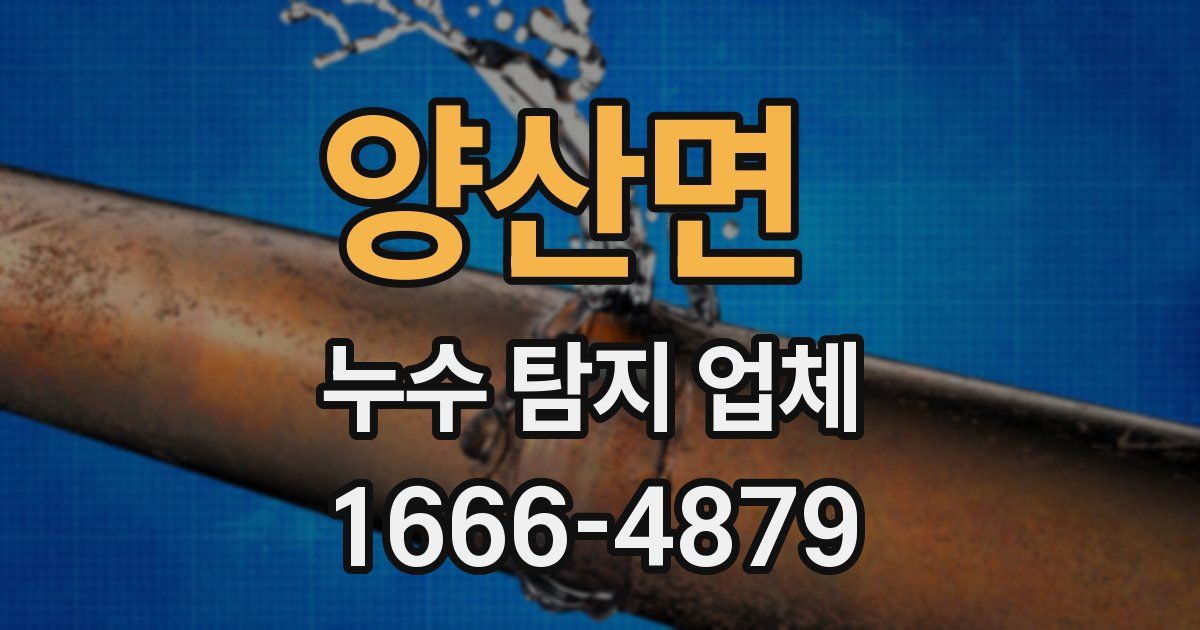 양산면 누수 탐지 업체