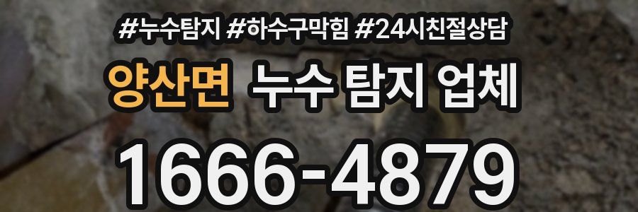 양산면 누수 탐지 업체