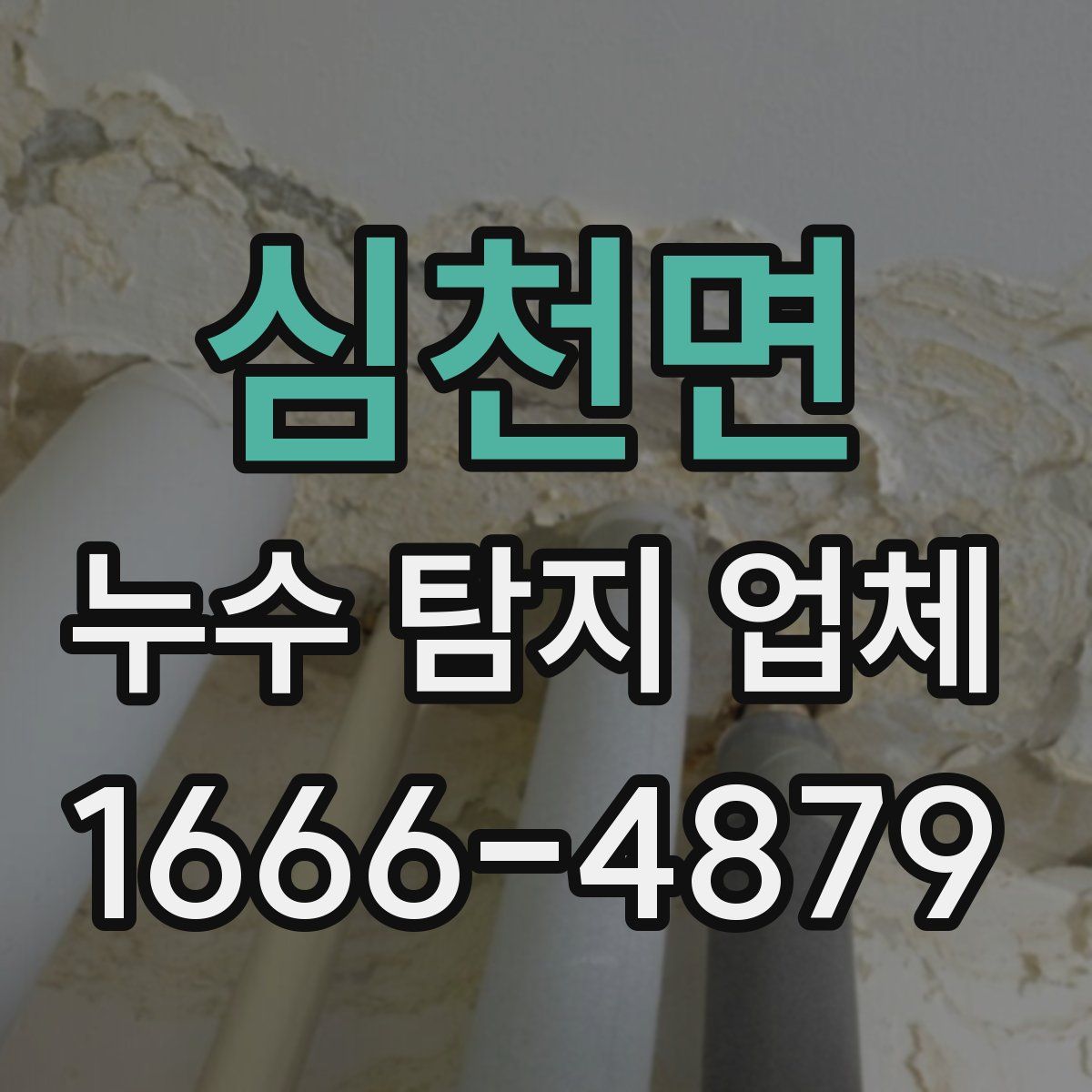 심천면 누수 탐지 업체