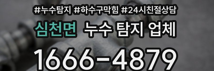 심천면 누수 탐지 업체