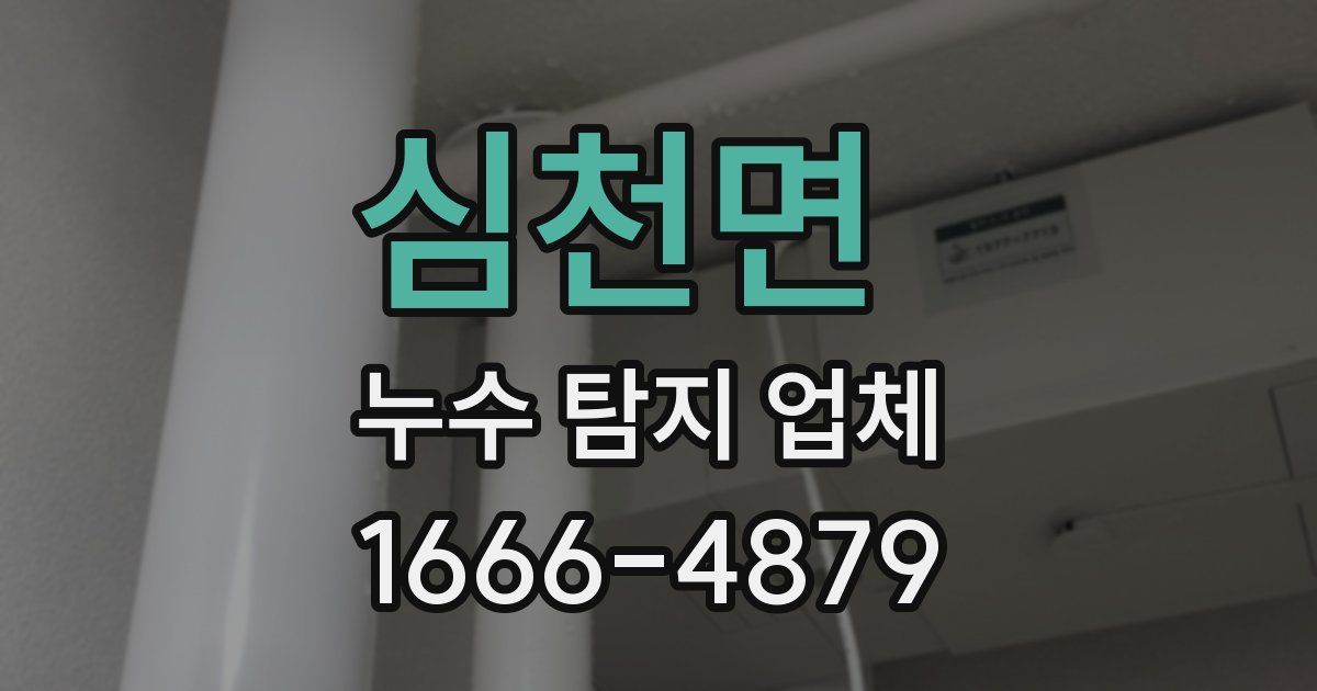 심천면 누수 탐지 업체