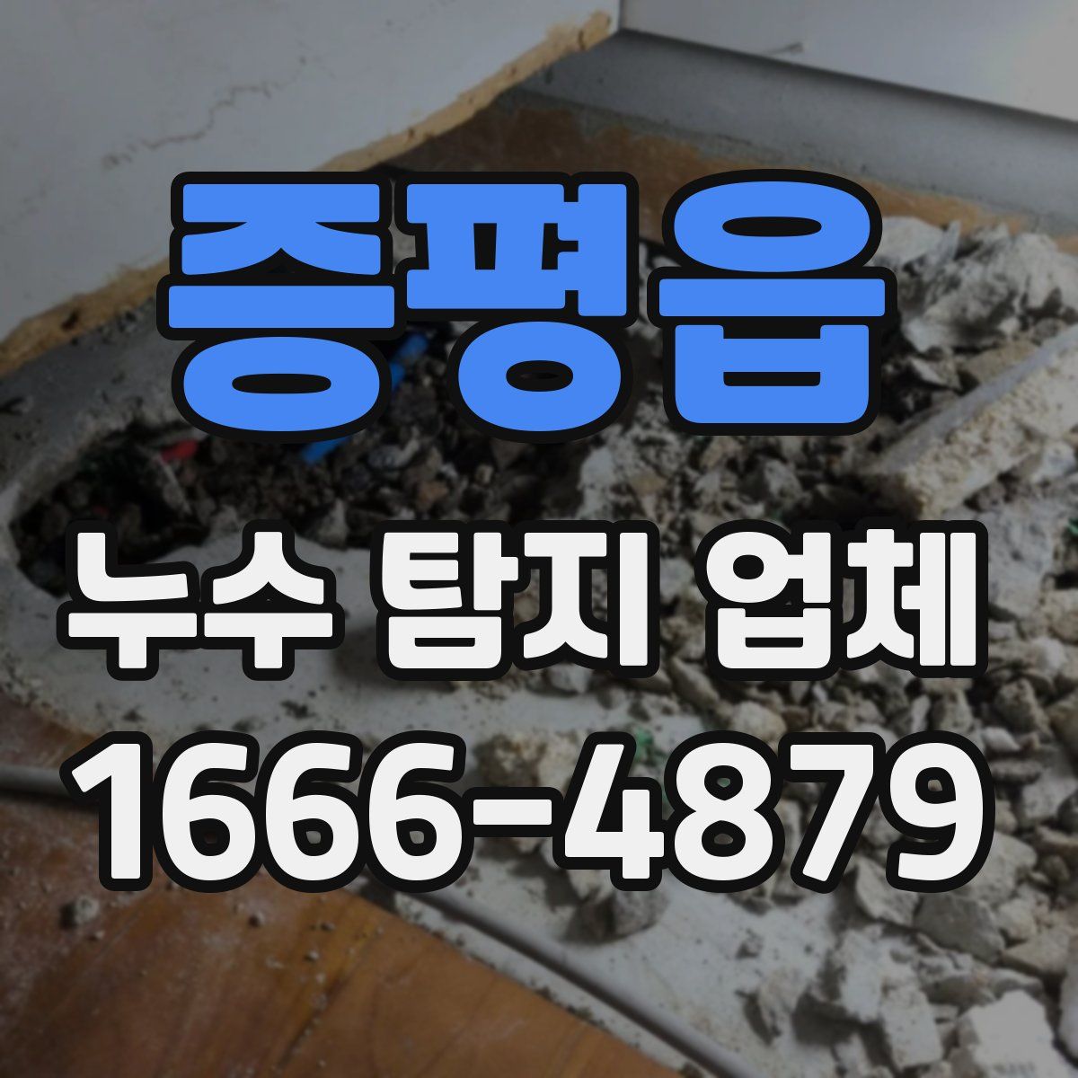 증평읍 누수 탐지 업체