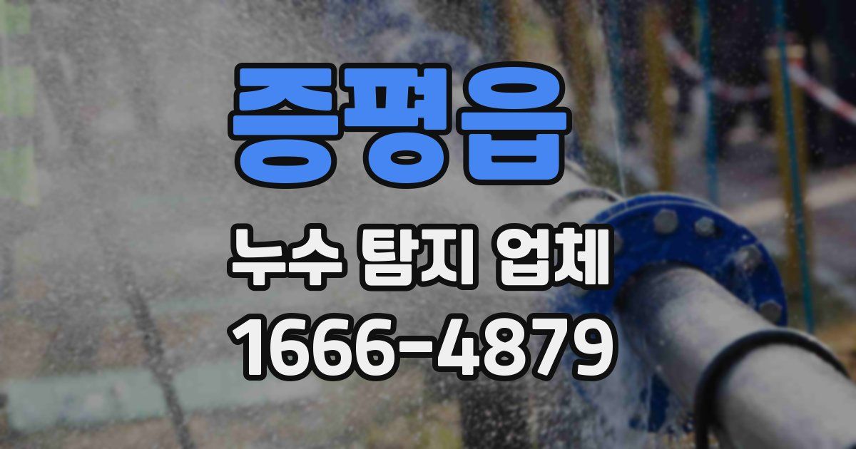증평읍 누수 탐지 업체