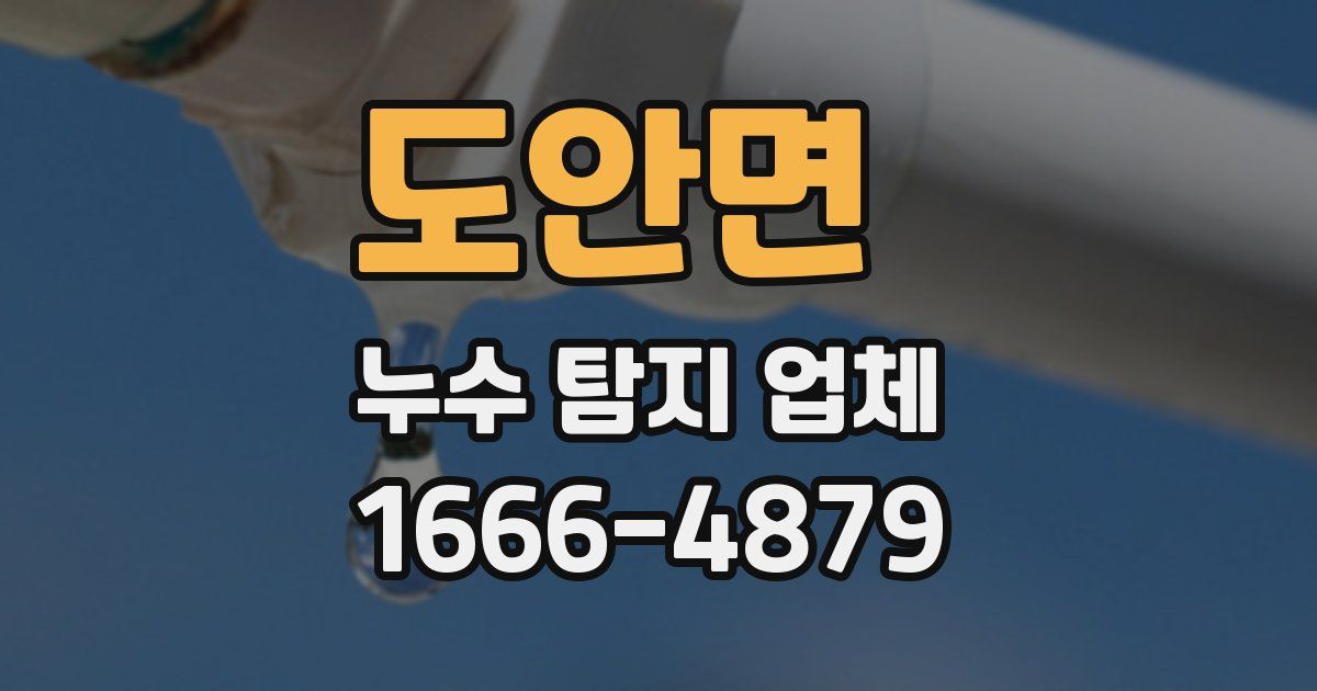 도안면 누수 탐지 업체