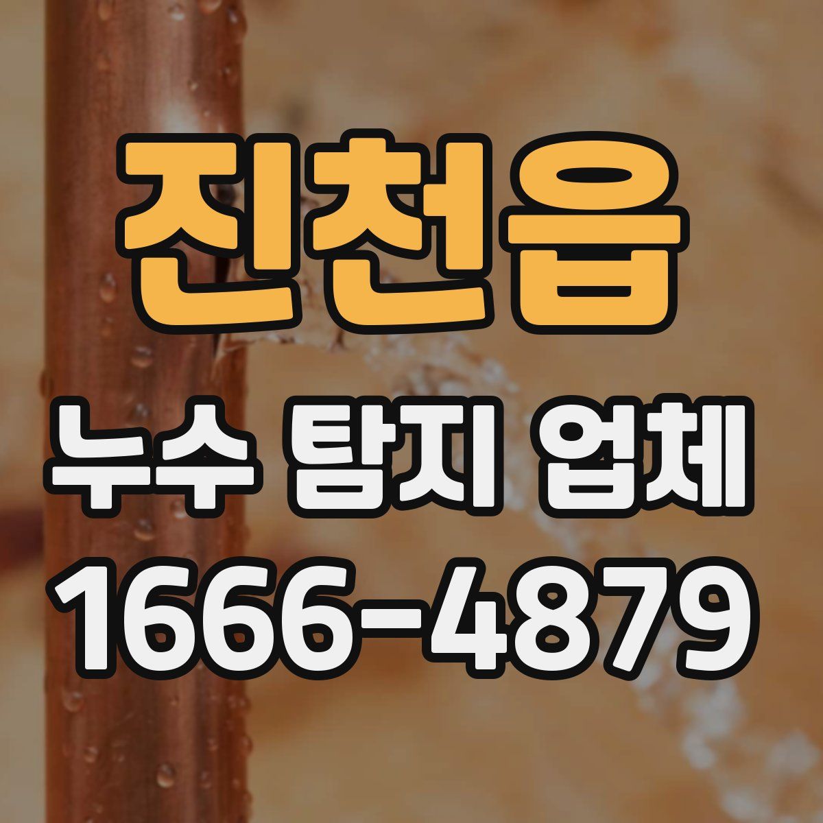 진천읍 누수 탐지 업체