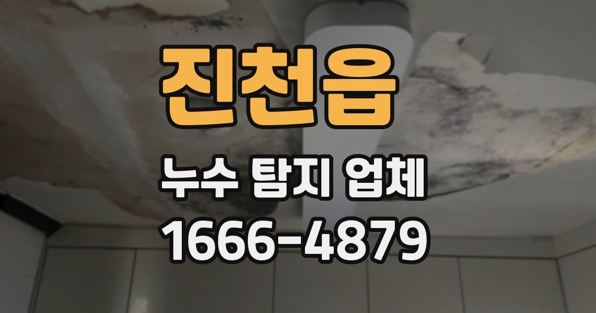 진천읍 누수 탐지 업체