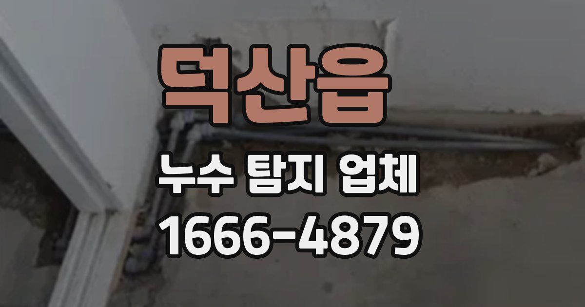 덕산읍 누수 탐지 업체