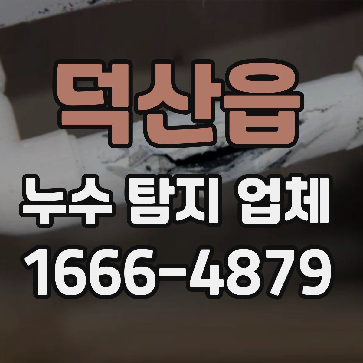 덕산읍 누수 탐지 업체